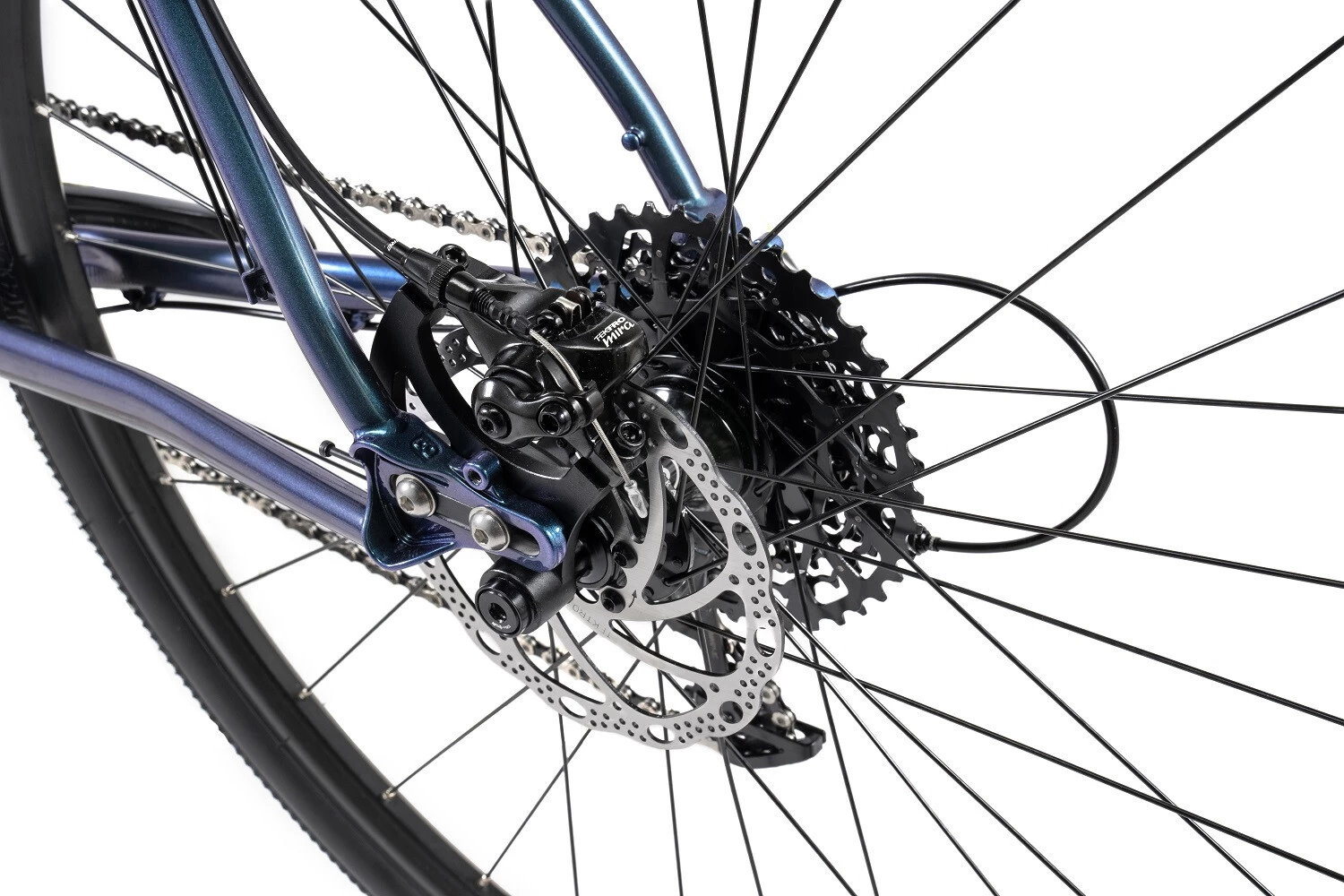 Bombtrack Arise SG Apex Glossy Cobalt Green 4 Bombtrack Arise SG Apex Glossy Cobalt Green - Image 4