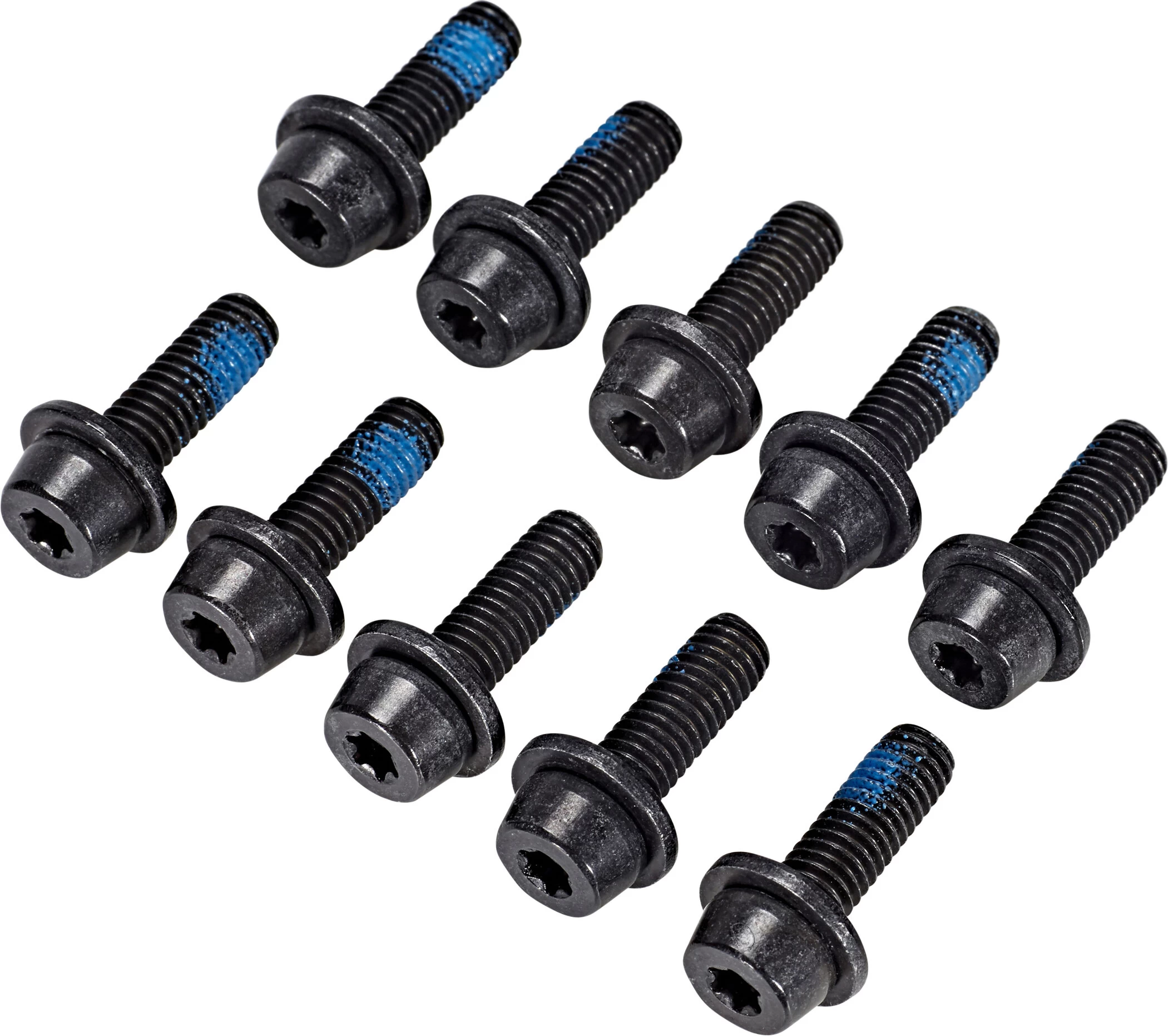 Magura EVO2 And Evolution Adapters Central Fixation Screw M6, T25 1 Magura EVO2 And Evolution Adapters Central Fixation Screw M6, T25