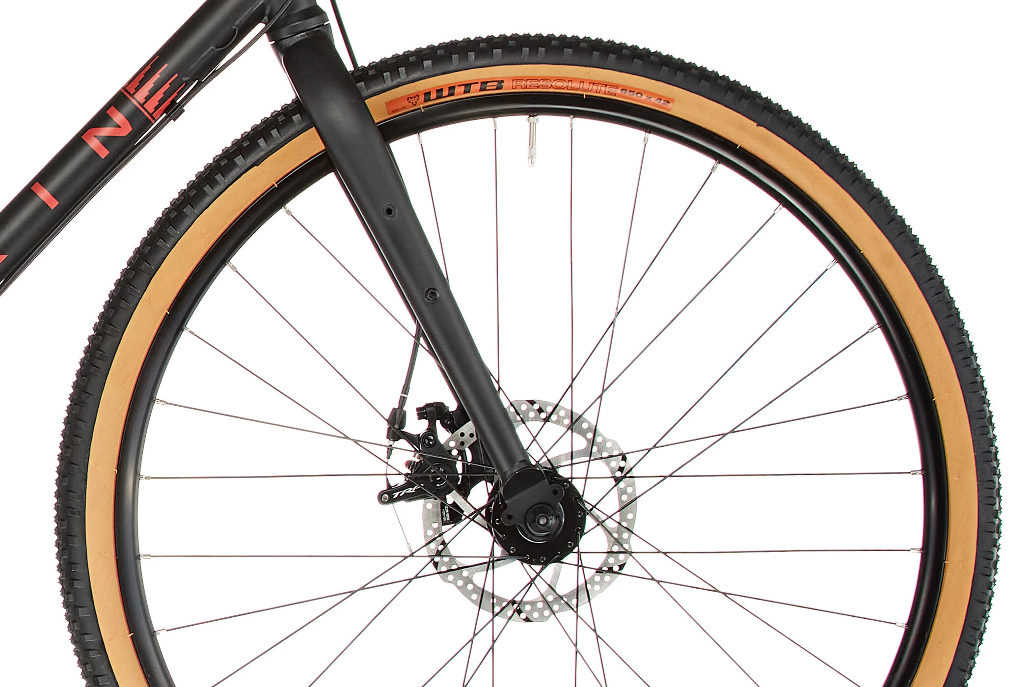 Marin Four Corners Gloss Green/tan 5 Marin Four Corners Gloss Green/tan - Image 5