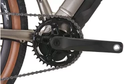 Vitus E-Substance Alloy Apex Intl. Gold 36 Vitus E-Substance Alloy Apex Intl. Gold -Professional Bicycle Store vitus e substance alloy apex intl gold 17